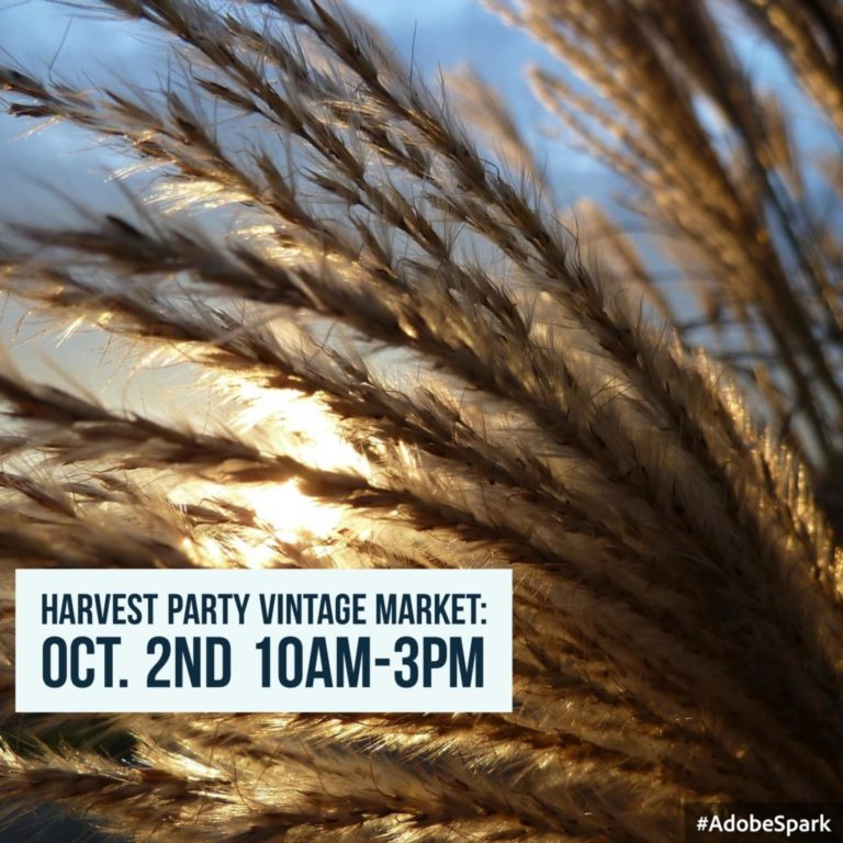 Market Day